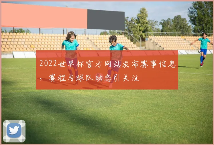 2022世界杯官方网站发布赛事信息,赛程与球队动态引关注