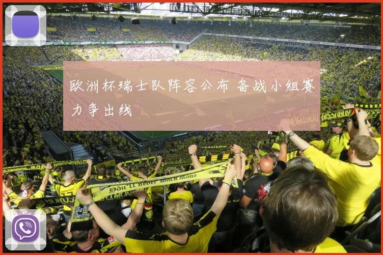 欧洲杯瑞士队阵容公布 备战小组赛力争出线